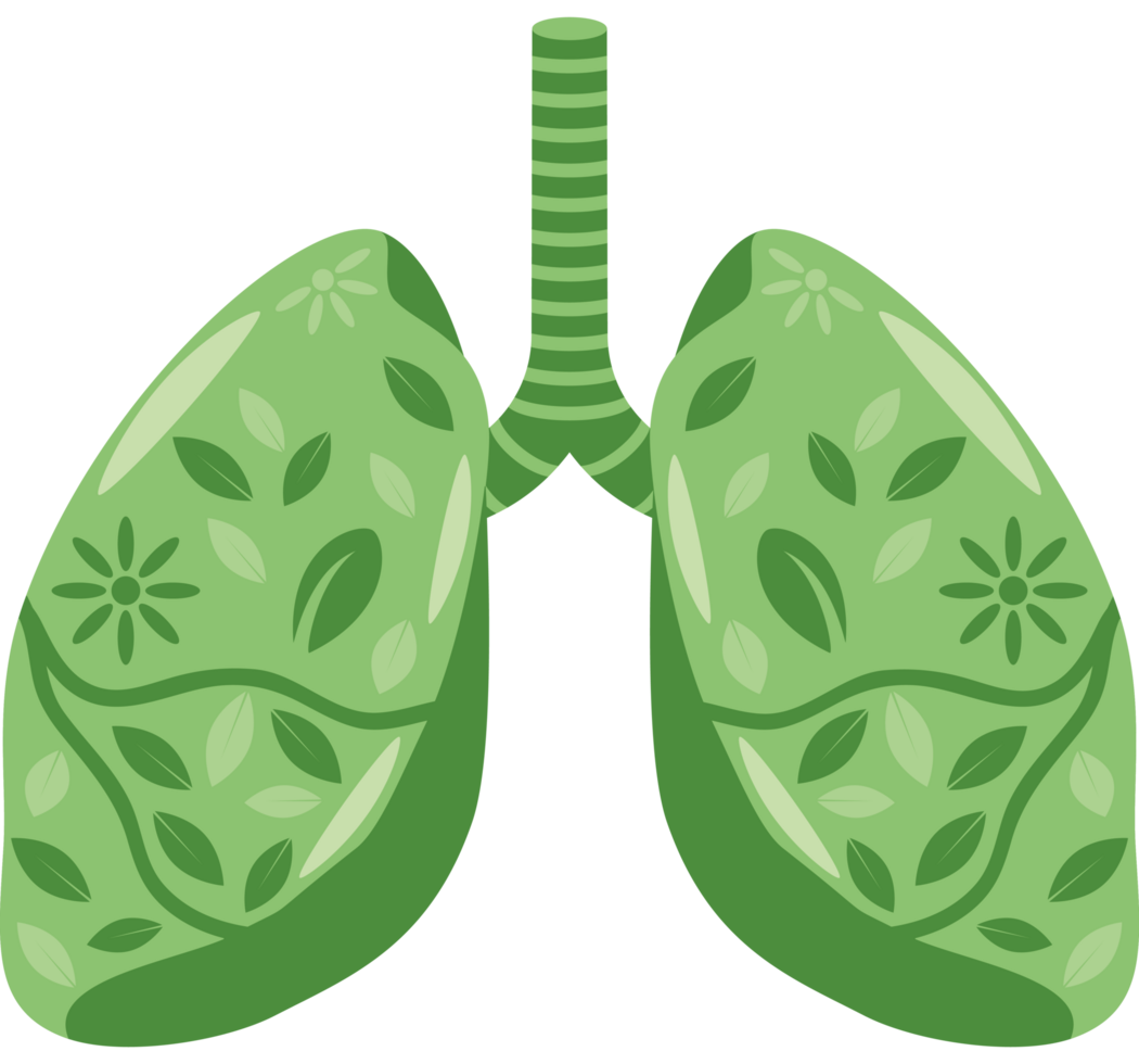 clean air green human lungs png