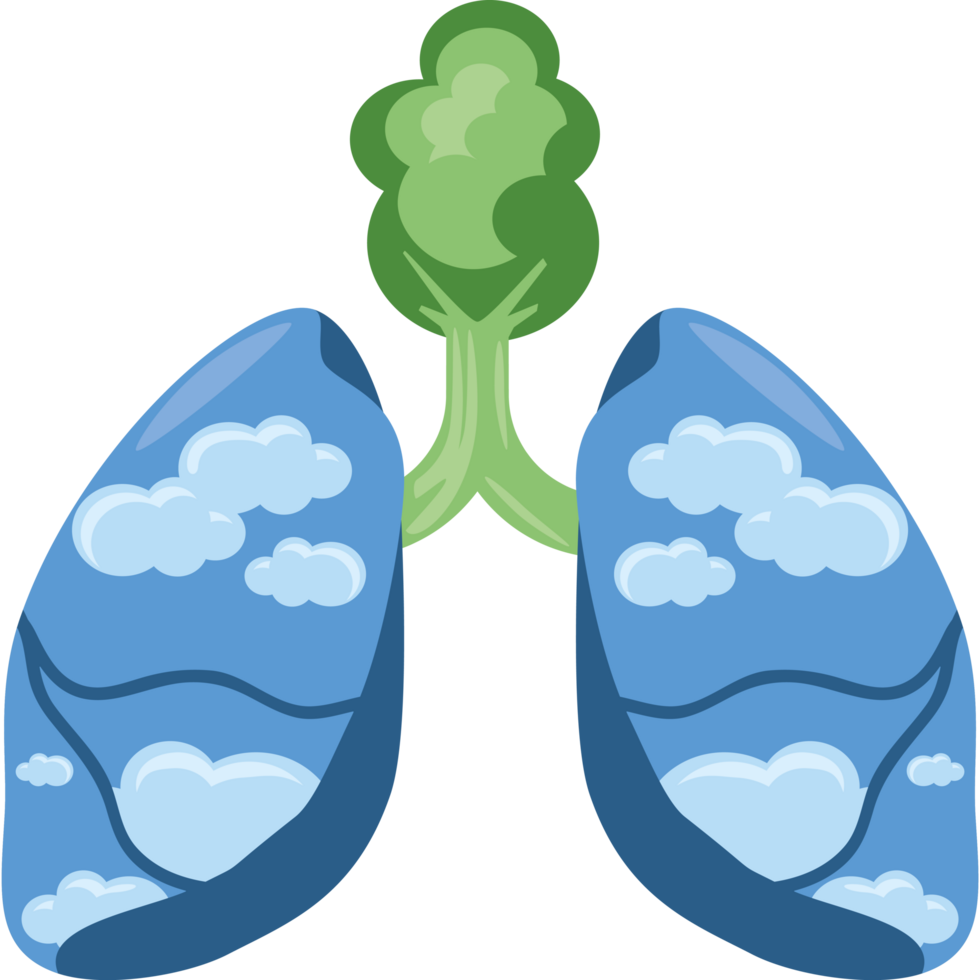 clean air healthy lungs png