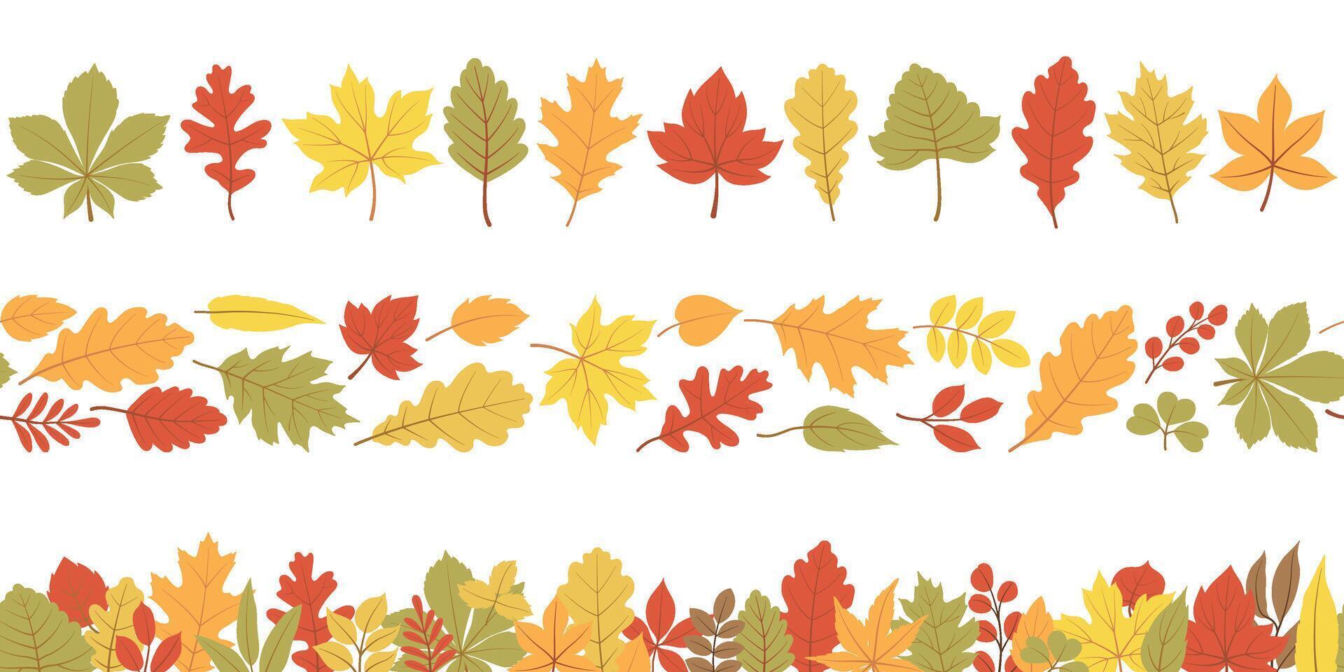 Autumn leaves a seamless border set. Different horizontal endless borders with forest leaves in bright colors. Seasonal fall design for greeting cards, banners, washi tape, and Thanksgiving day vector