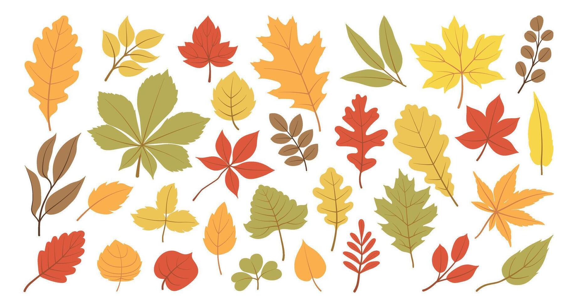 Set of autumn leaves from different trees, oak, maple, chestnut. Simple, yellow, red, orange fall leaf set for pattern, banner, sticker, Hallo autumn card. Flat illustration on white background vector