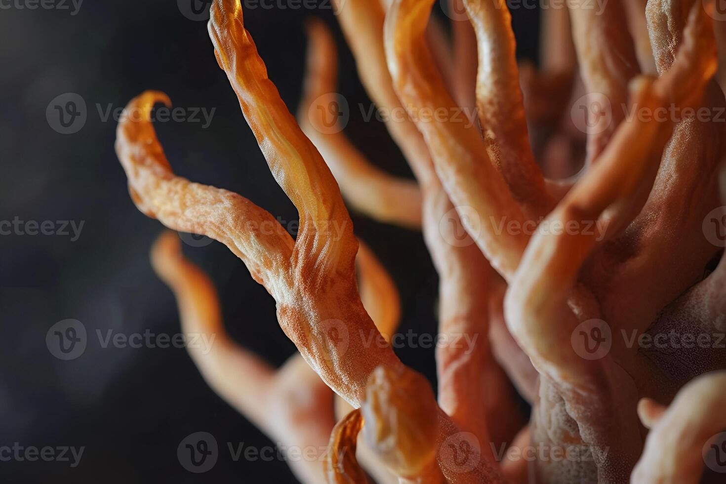 Cordyceps mushroom extra close-up Abstract natural background Traditional Chinese Medicine photo