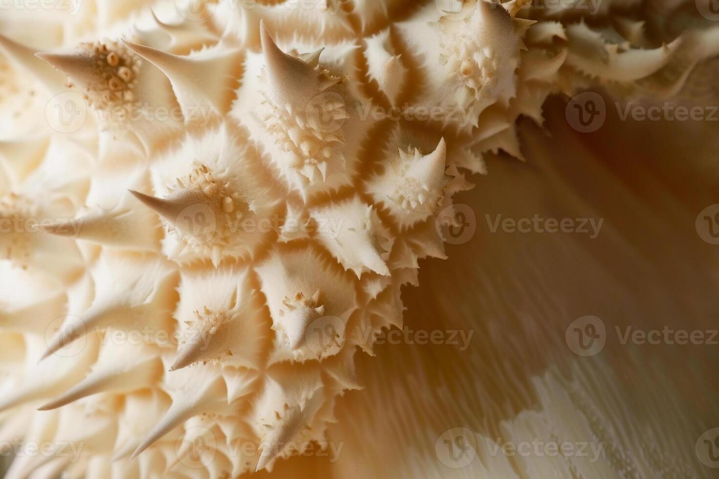 close-up of Hericium erinaceus mushrooms Fungus Abstract natural background poster design photo