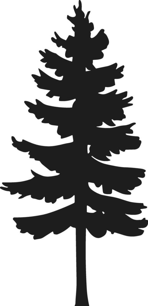 Tall evergreen pine tree silhouette vector
