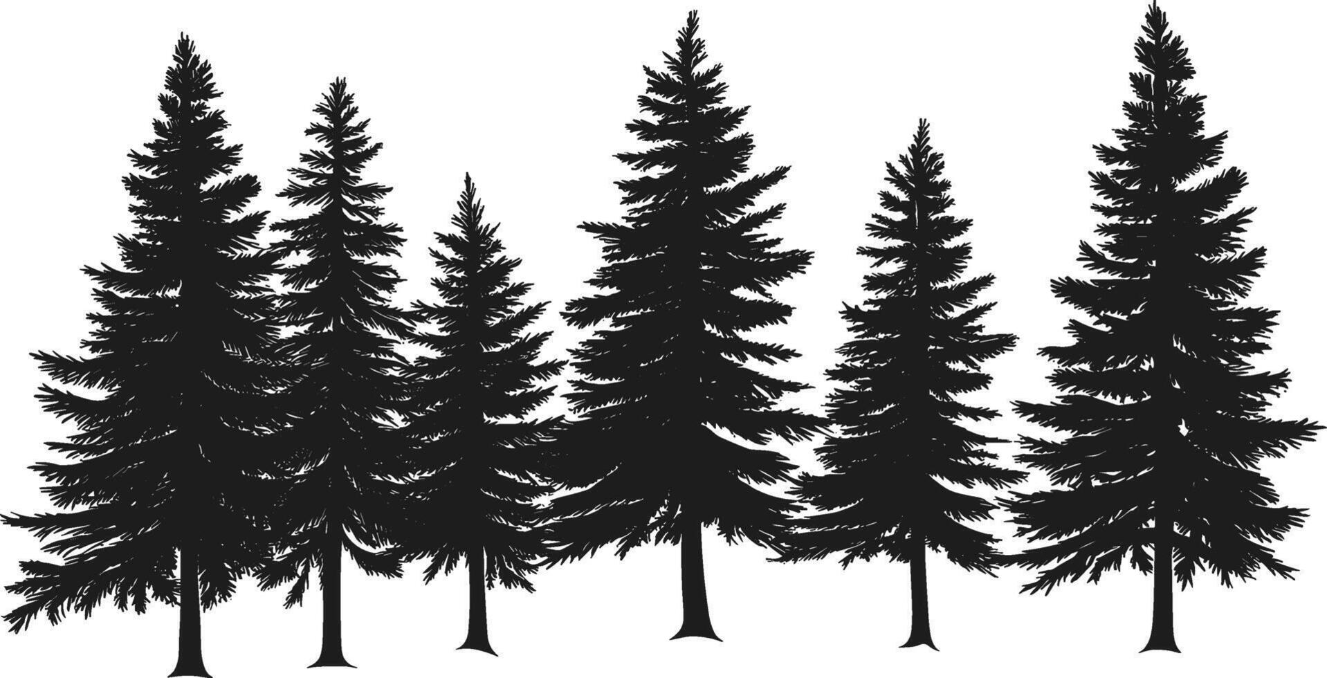 Tall and Majestic Pine tree Silhouette vector