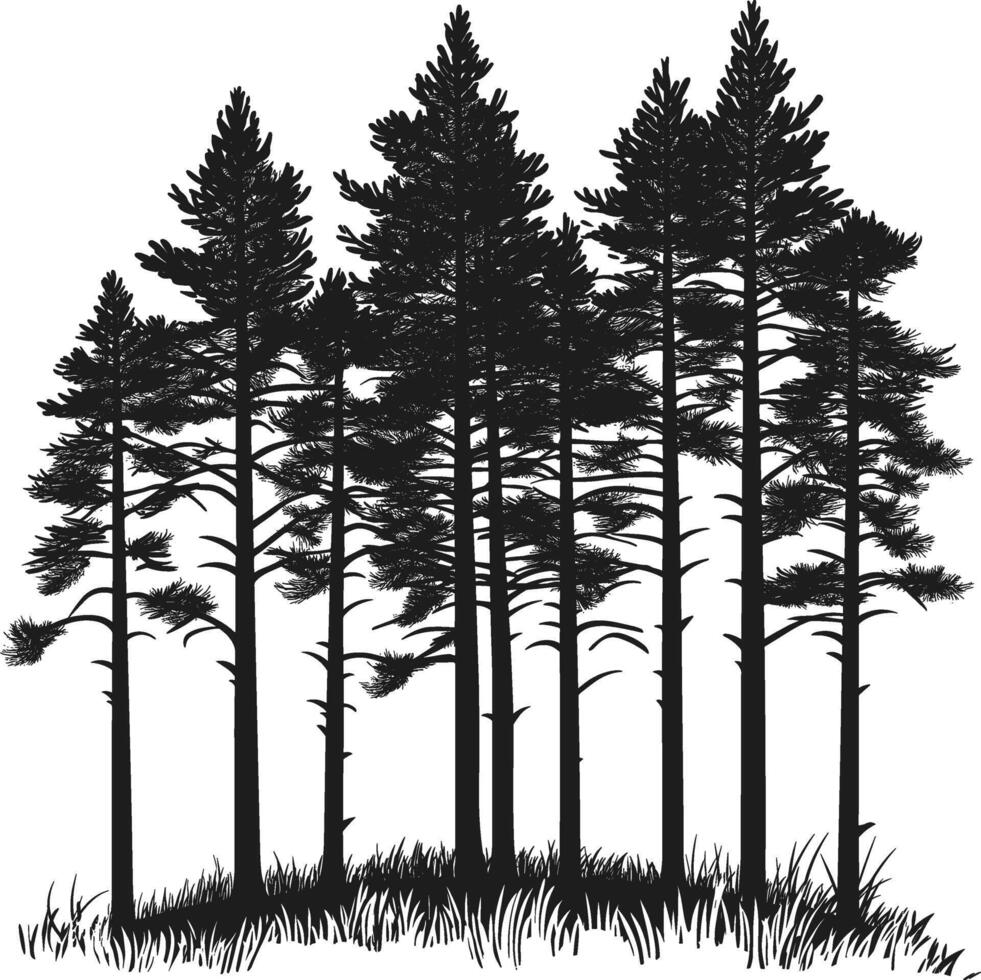 Dark Pine trees silhouette vector