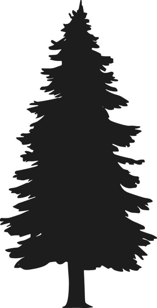 Wild Evergreen pine tree silhouette vector