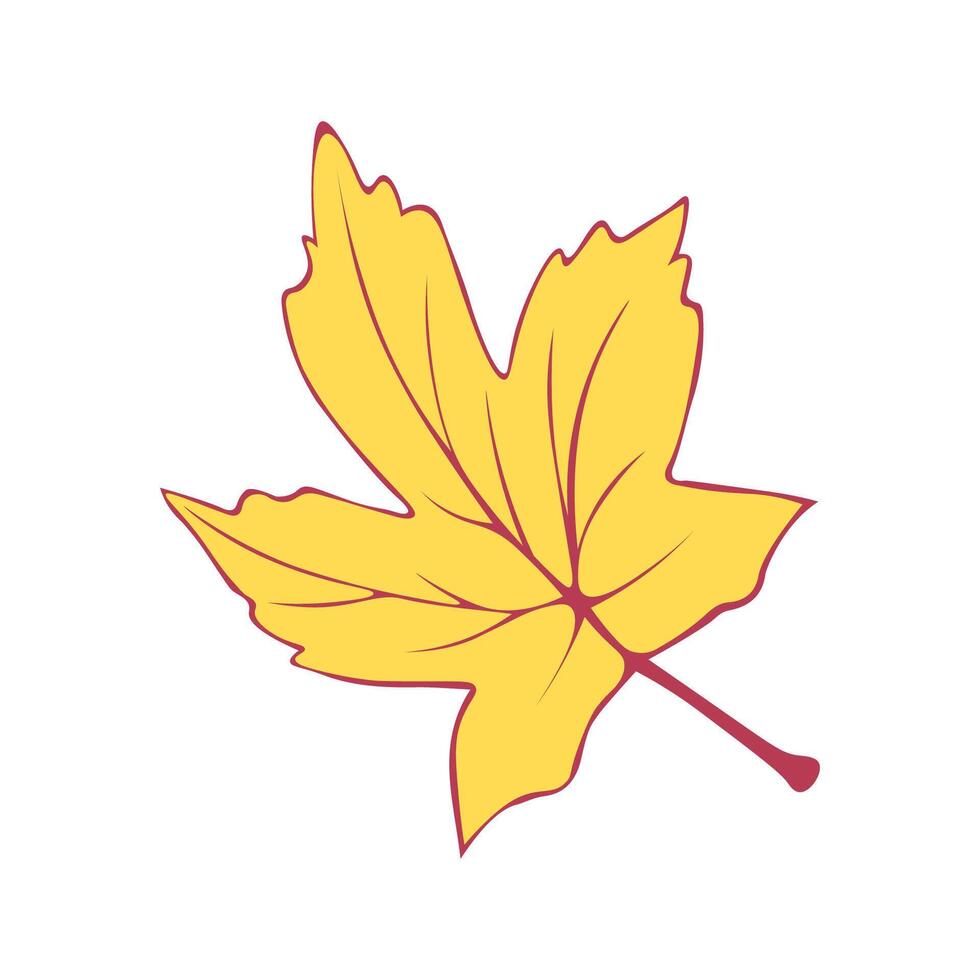 Autumn Fallen Yellow Leaf of Maple. Illustration on white background vector