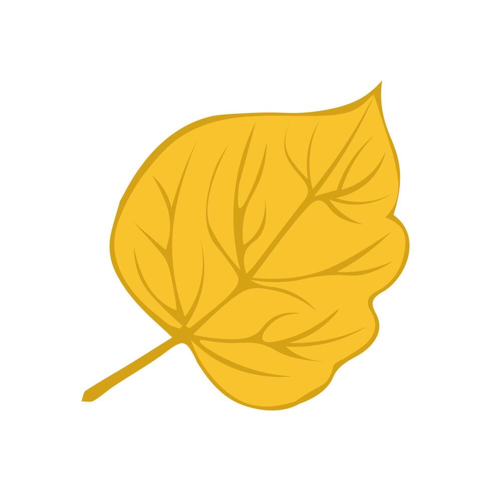 Autumn Fallen Yellow Leaf of Birch. Illustration on white background vector