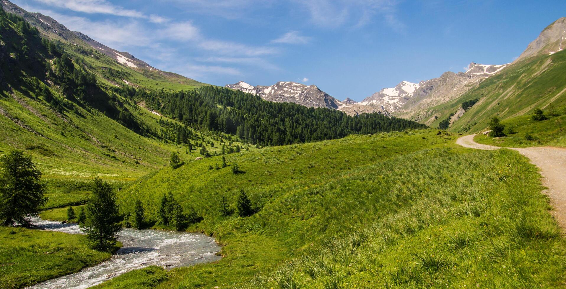 a dirt road in the mountains with a stream running through it photo