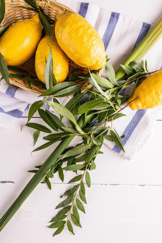 Vertical festive background of the Jewish holiday of Sukkot with traditional symbols of the holiday of joy and harvest. etrog, willow , palm branches photo