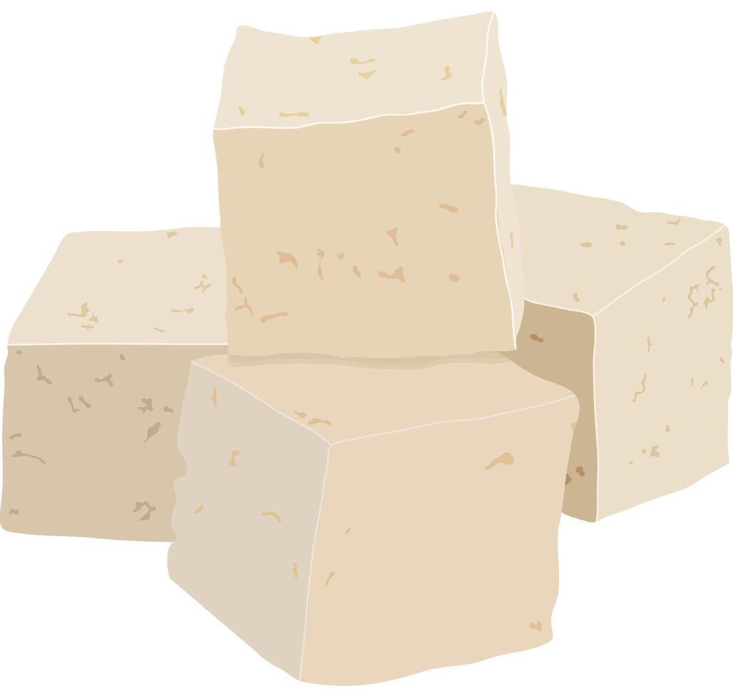 Raw Tofu Block or Soya Food Product Isolated on White Background vector
