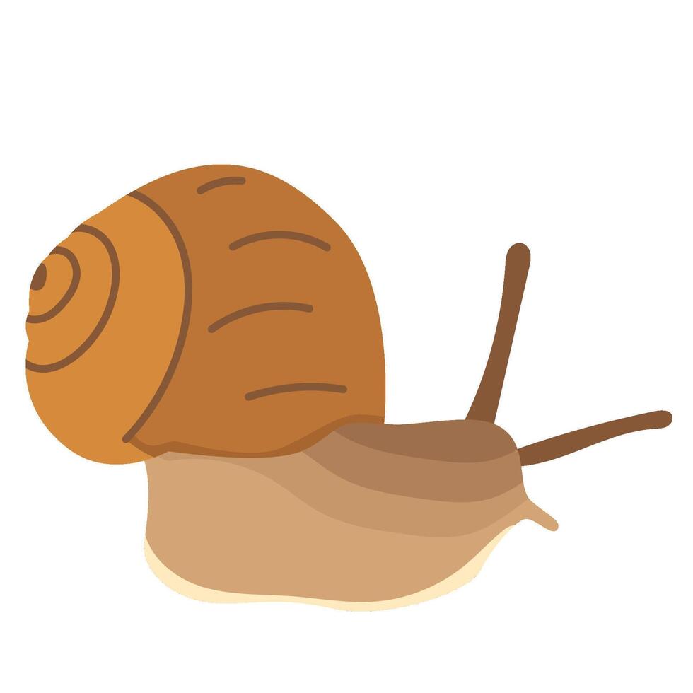 Snail Animal Illustration Isolated on White Background vector