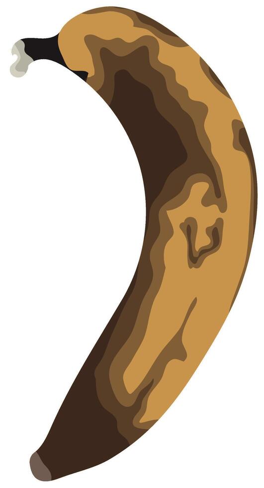 Single of Overripe Banana Stage Isolated on White Background vector