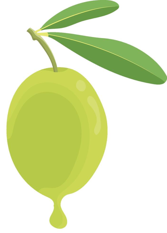 Fresh Olive Fruit with Dripping Oil Isolated on White Background vector