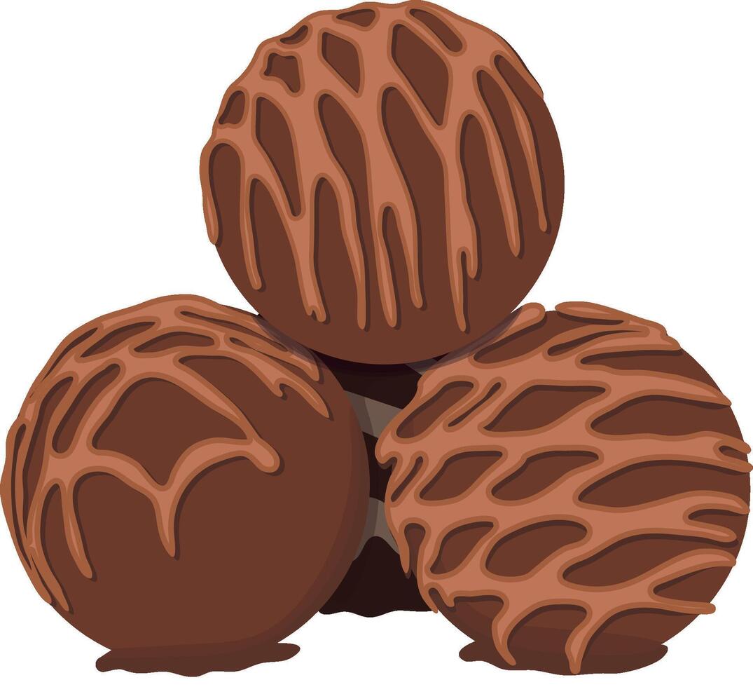 Chocolate Truffle Bonbon or Chocolate Ball Snack Isolated on White Background vector