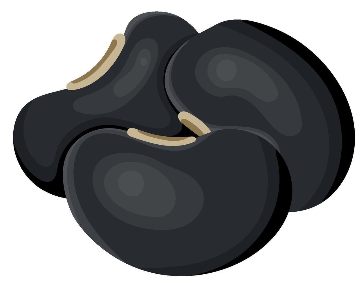Pile of Raw Black Beans Isolated on White Background vector