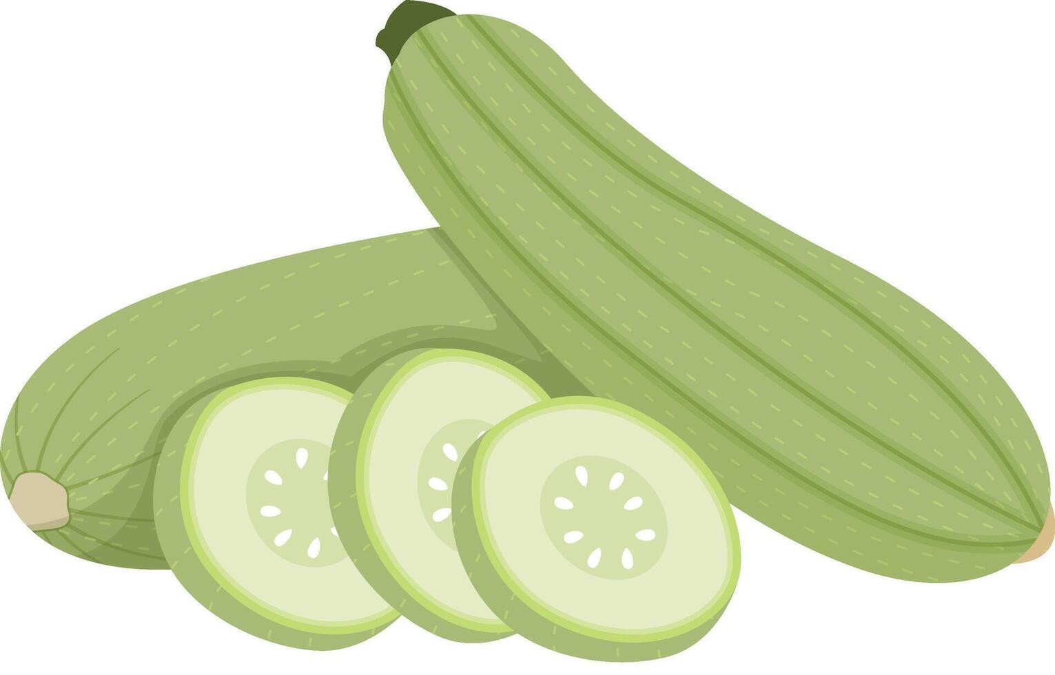 Zucchini Vegetable with Slices Isolated on White Background vector