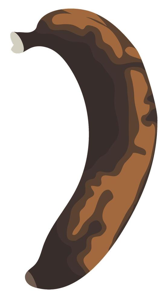 Rotten or Decay Banana Stage Isolated on White Background vector