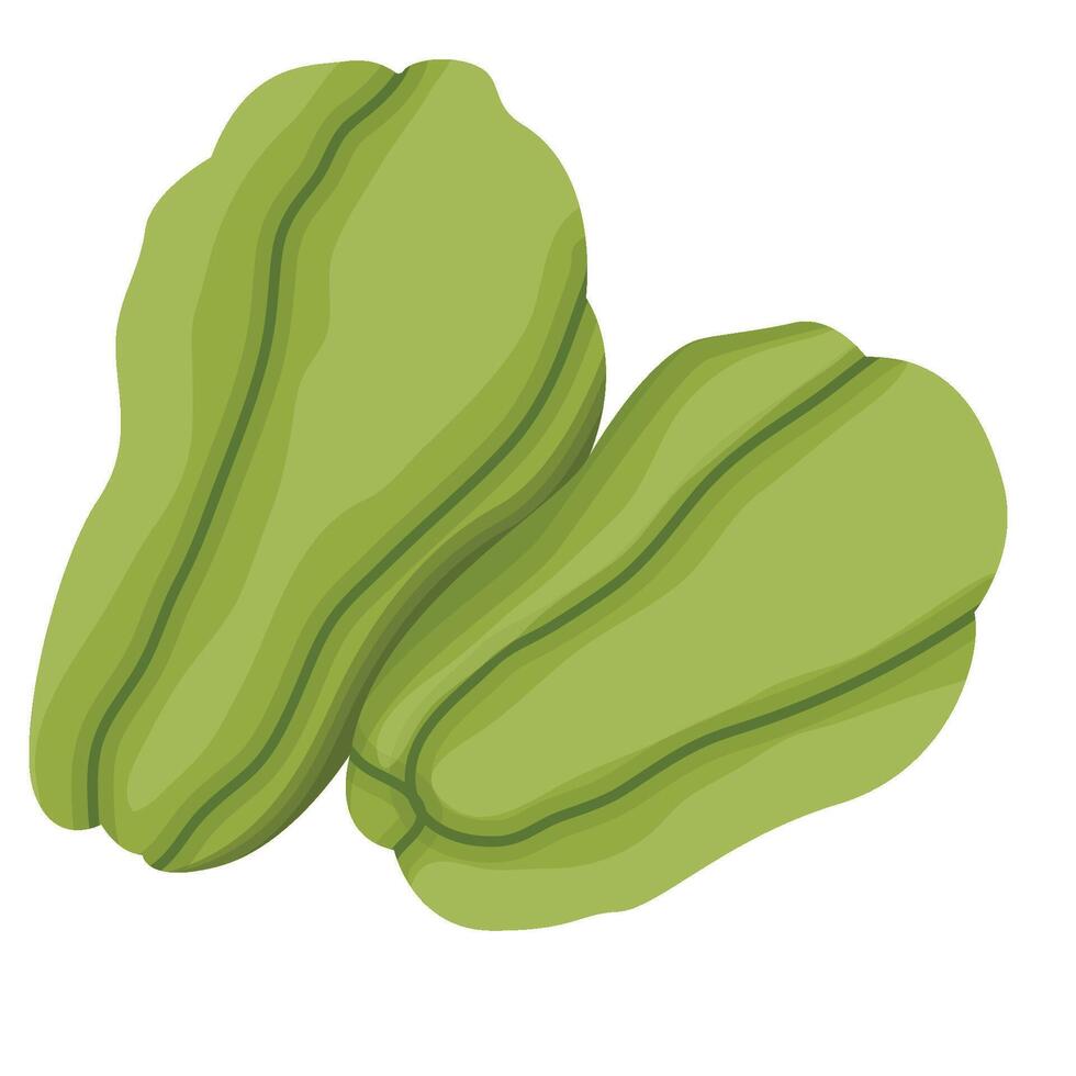Chayote Vegetable Illustration Isolated on White Background vector