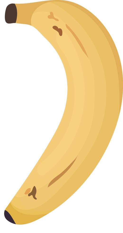 Single of Ripe Banana Stage Isolated on White Background vector