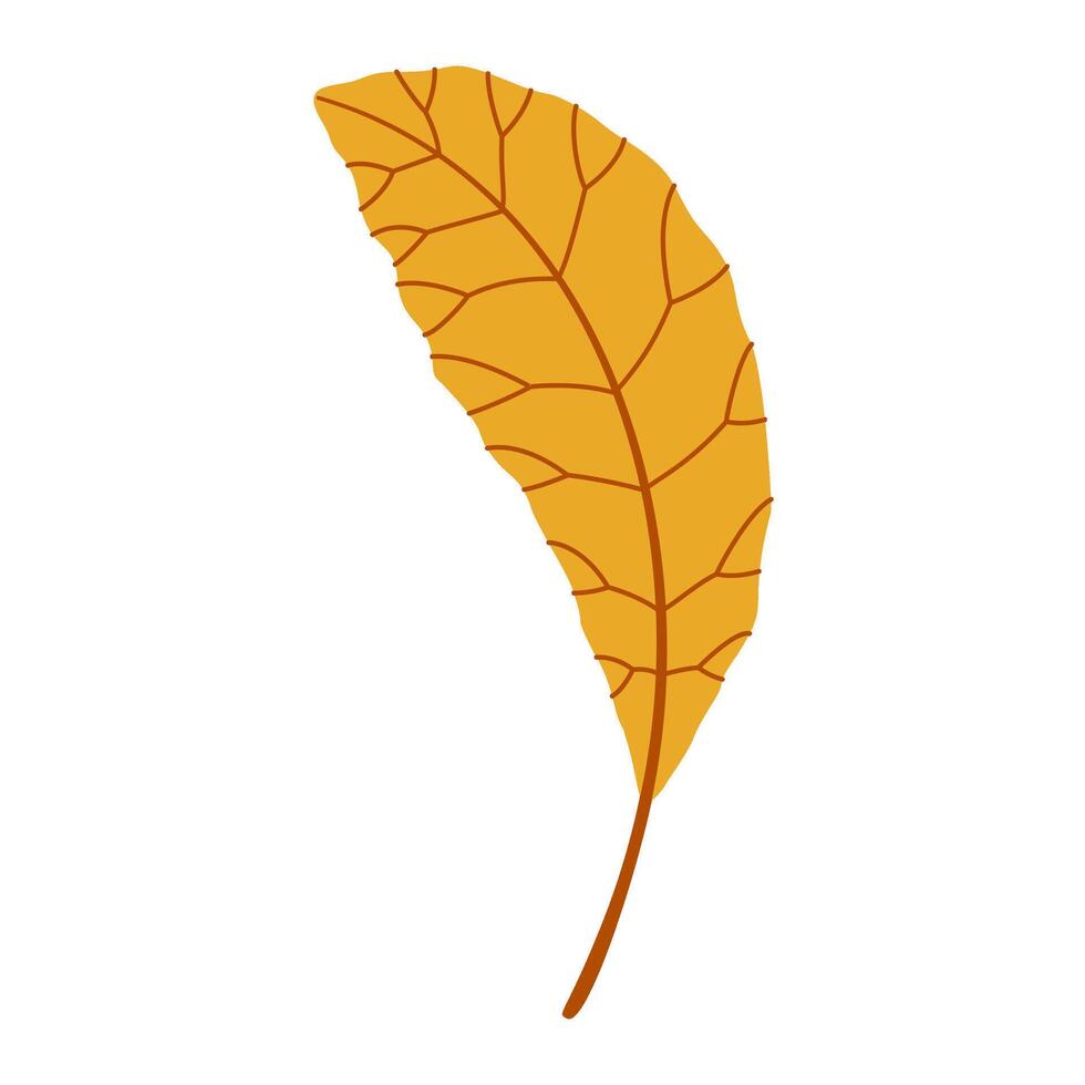 Autumn Leaf. Hand drawn trendy flat style isolated. autumn leaf, golden season illustration vector
