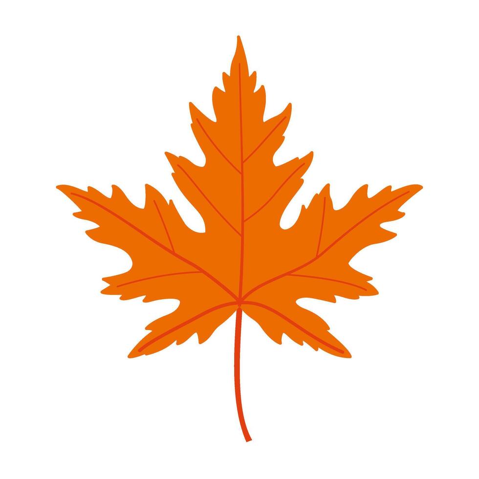 Autumn maple leaf. Hand drawn trendy flat style isolated. autumn leaf, golden season illustration vector