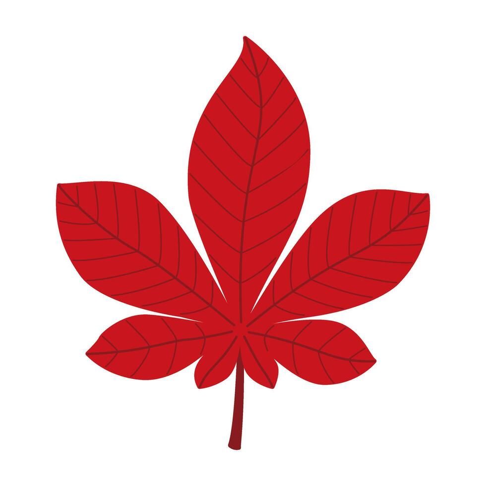 Autumn chestnut leaf. Hand drawn trendy flat style isolated. autumn leaf, golden season illustration vector