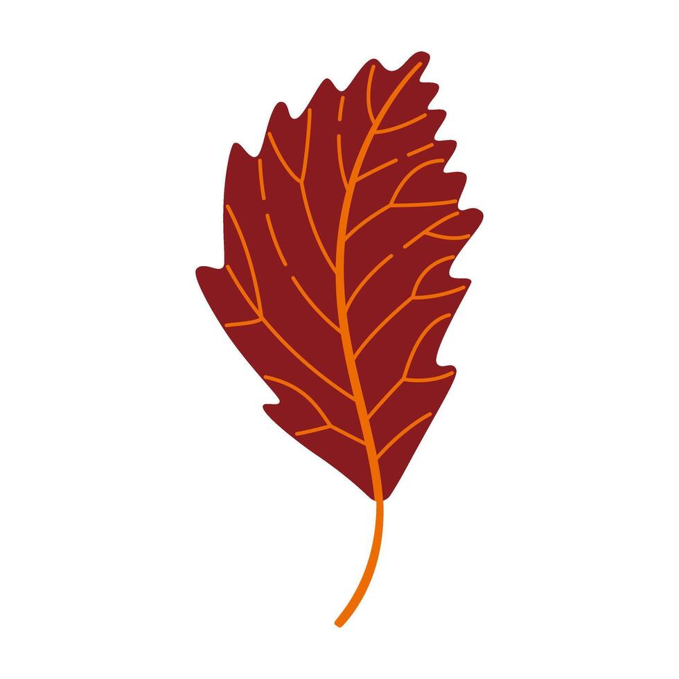 Autumn elm leaf. Hand drawn trendy flat style isolated. autumn leaf, golden season illustration vector