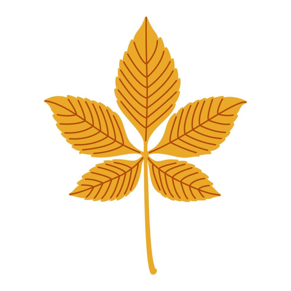 Autumn chestnut leaf. Hand drawn trendy flat style isolated. autumn leaf, golden season illustration vector