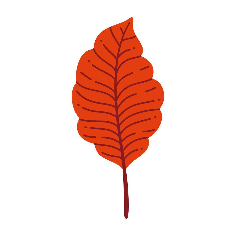 Autumn Leaf. Hand drawn trendy flat style isolated. autumn leaf, golden season illustration vector