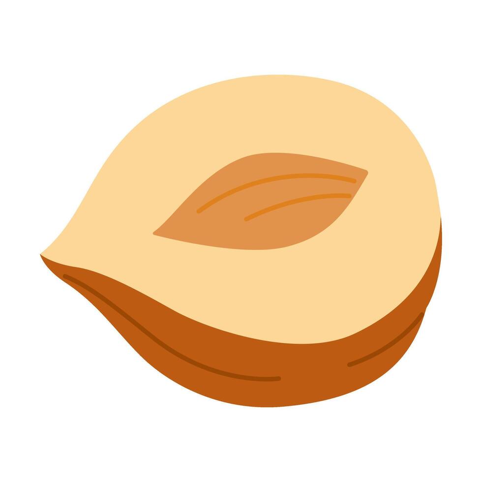 Hazelnut half a kernel ripe and tasty, healthy treat, snacks. Hand drawn trendy flat style isolated illustration vector