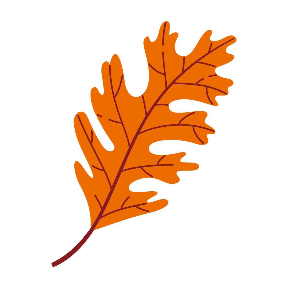 Autumn Oak Leaf. Hand drawn trendy flat style isolated. autumn leaf, golden season illustration vector
