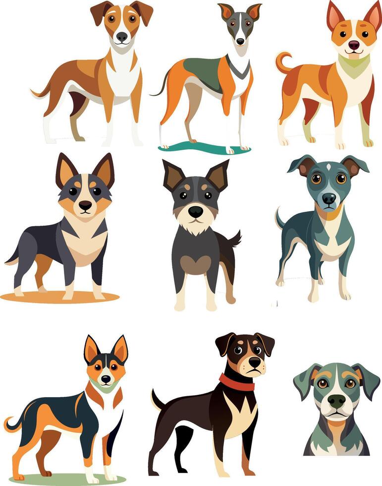 Nine different dog breeds standing on white background vector