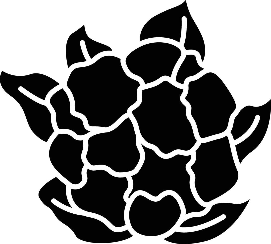 Cauliflower solid glyph illustration vector