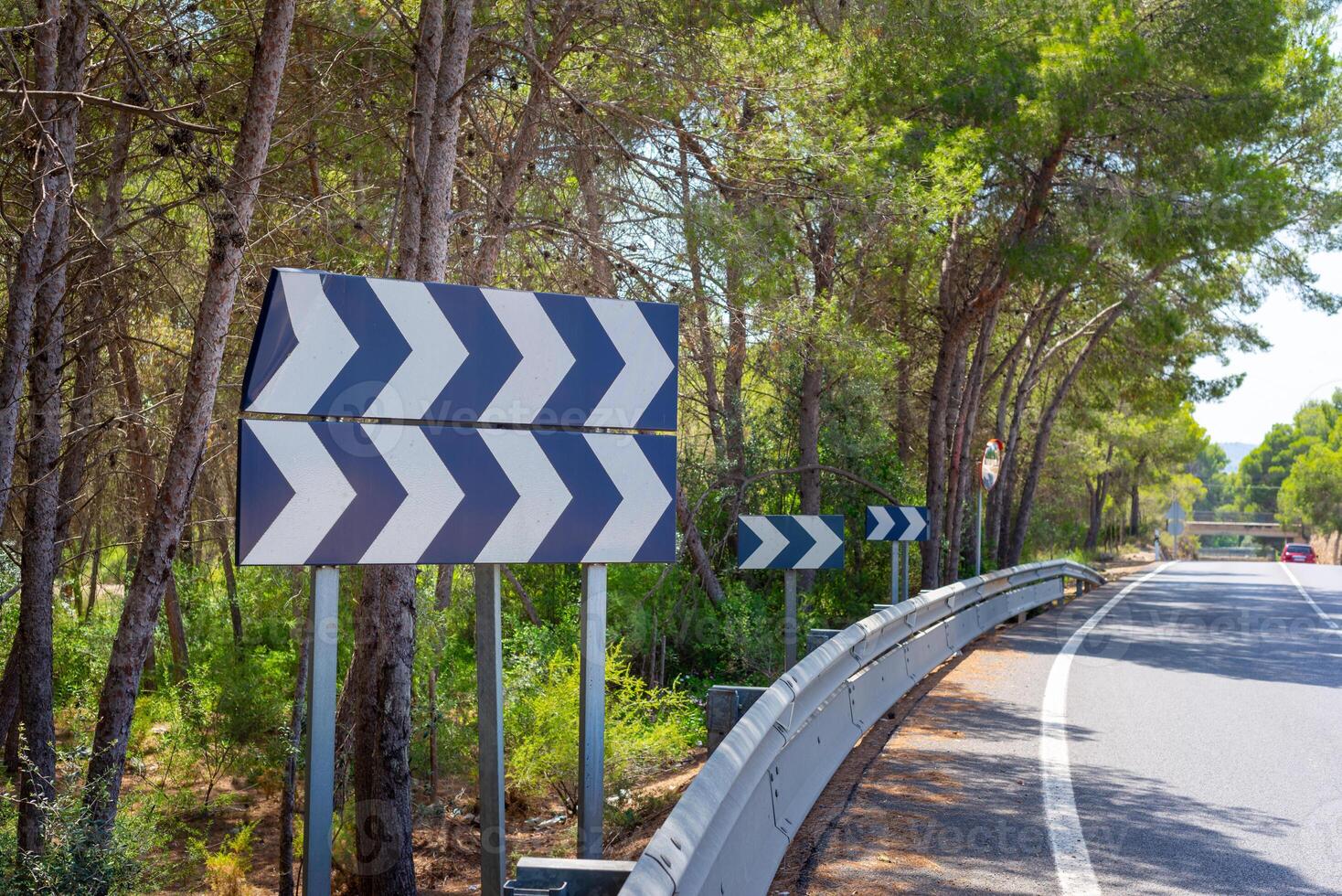 turn signs on the road in a pine forest photo