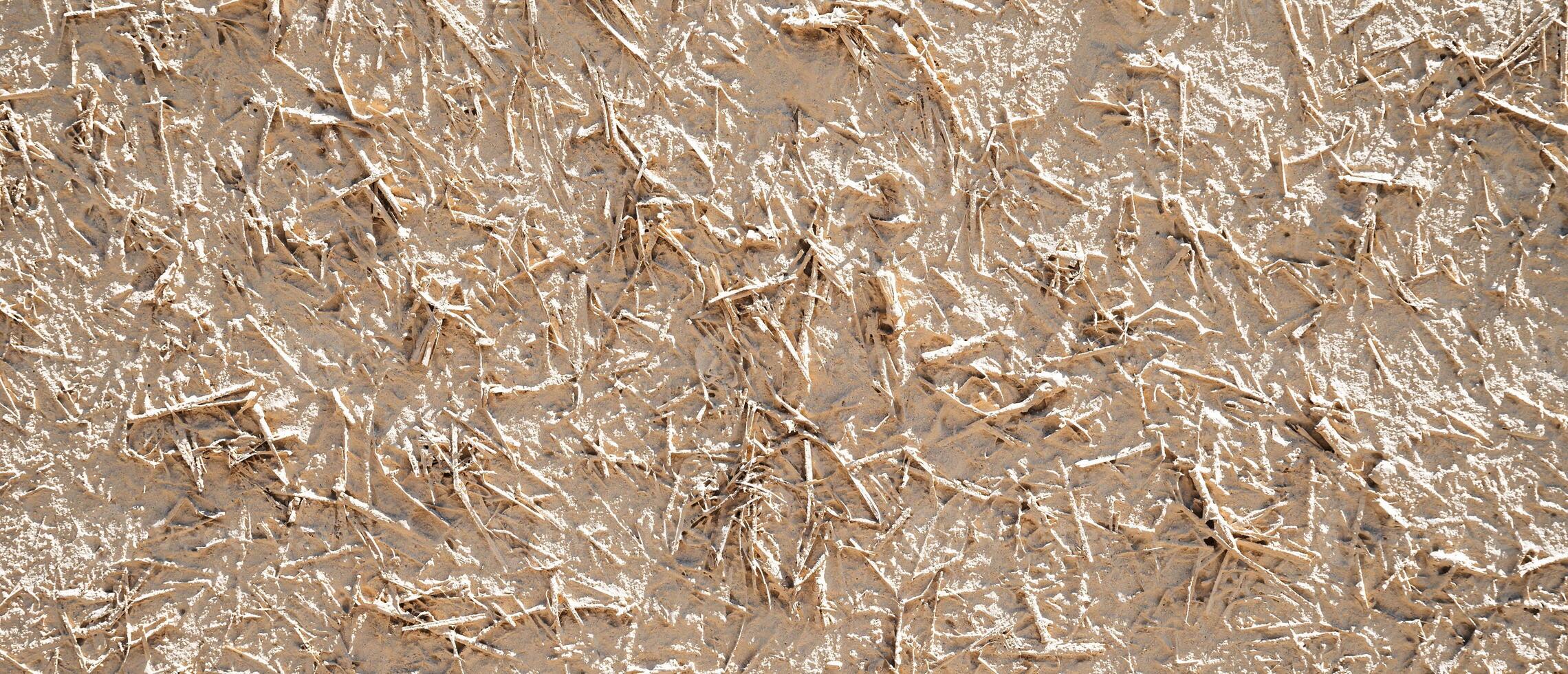 texture of an old ancient Asian clay wall with straw photo