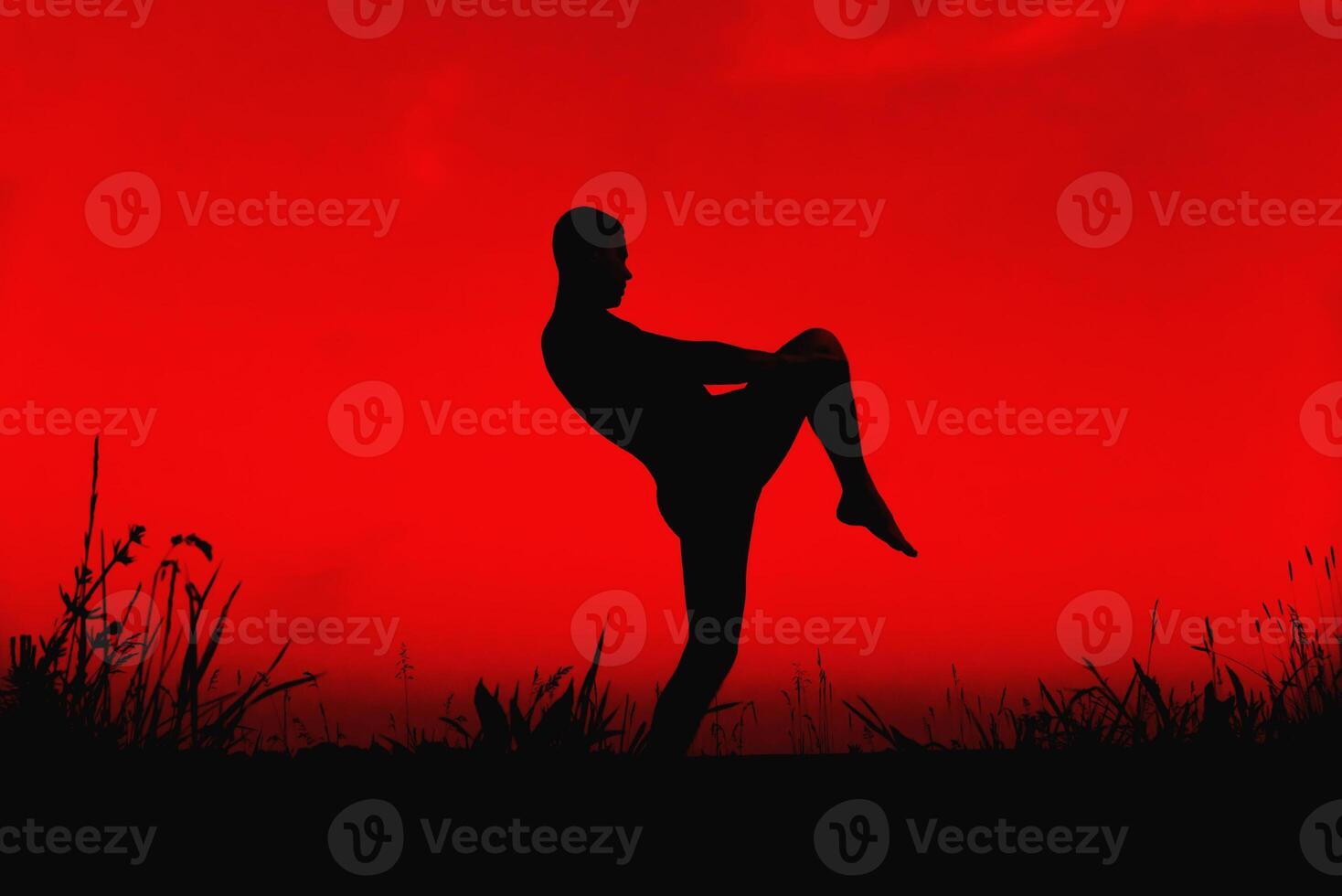 Silhouette of a male fighter engaged in training combat techniques and stretching in the evening in nature photo