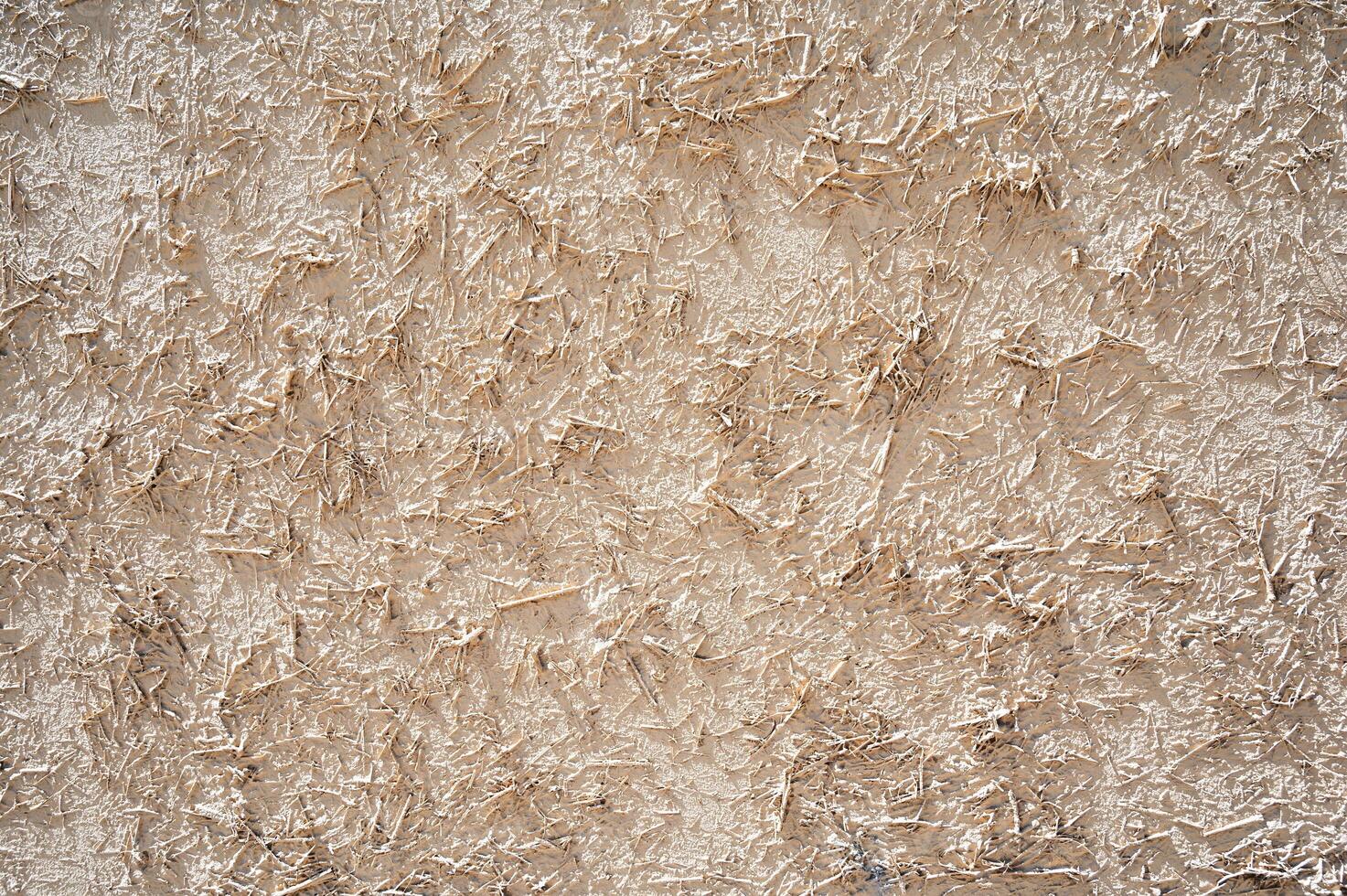 texture of antique traditional Asian clay wall with straw closeup photo