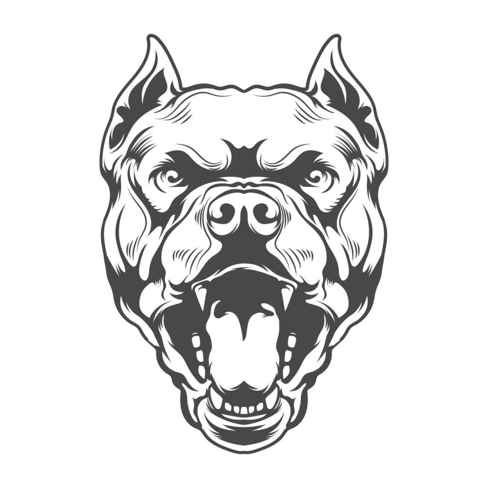 Pitbull Dog angry face open mouth design vector
