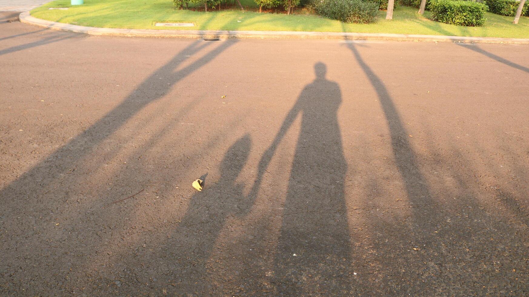 Aesthetic Shadow Image photo