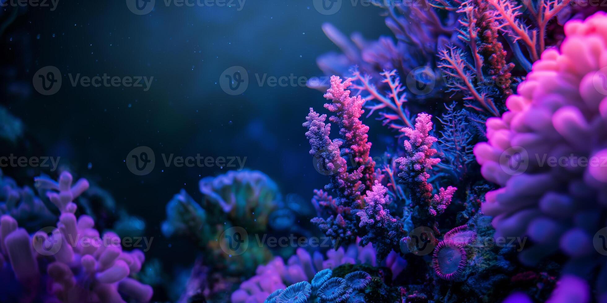 Vibrant Underwater Coral Reef Ecosystem with Colorful Marine Life in Detail photo
