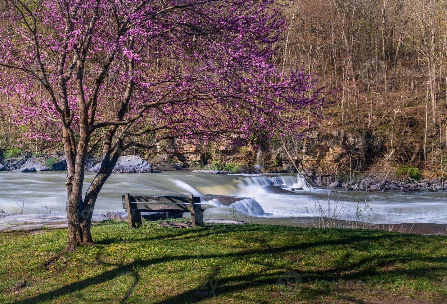 Bench overlook of Valley Falls State Park near Fairmont in West Virginia on a colorful and bright spring day with redbud blossoms on the trees photo