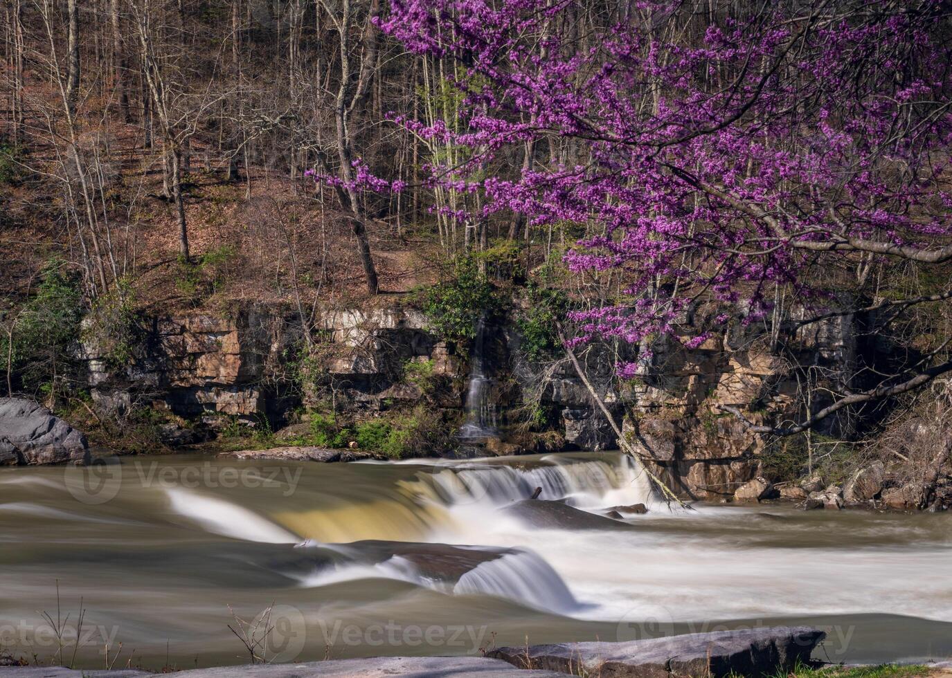 Valley Falls State Park near Fairmont in West Virginia on a colorful and bright spring day with redbud blossoms on the trees photo
