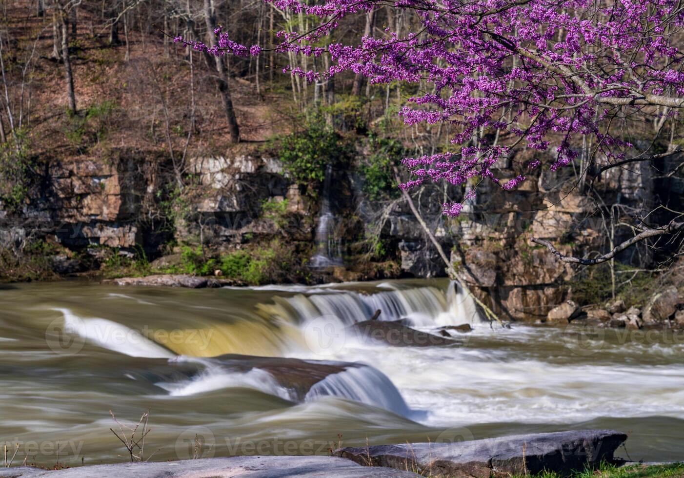 Valley Falls State Park near Fairmont in West Virginia on a colorful and bright spring day with redbud blossoms on the trees photo