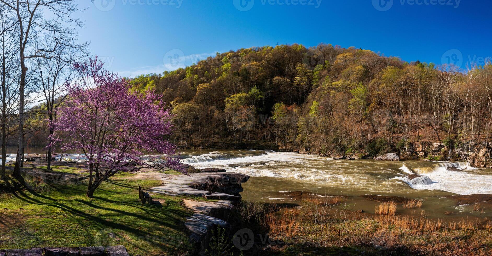 Valley Falls State Park near Fairmont in West Virginia on a colorful and bright spring day with redbud blossoms on the trees photo