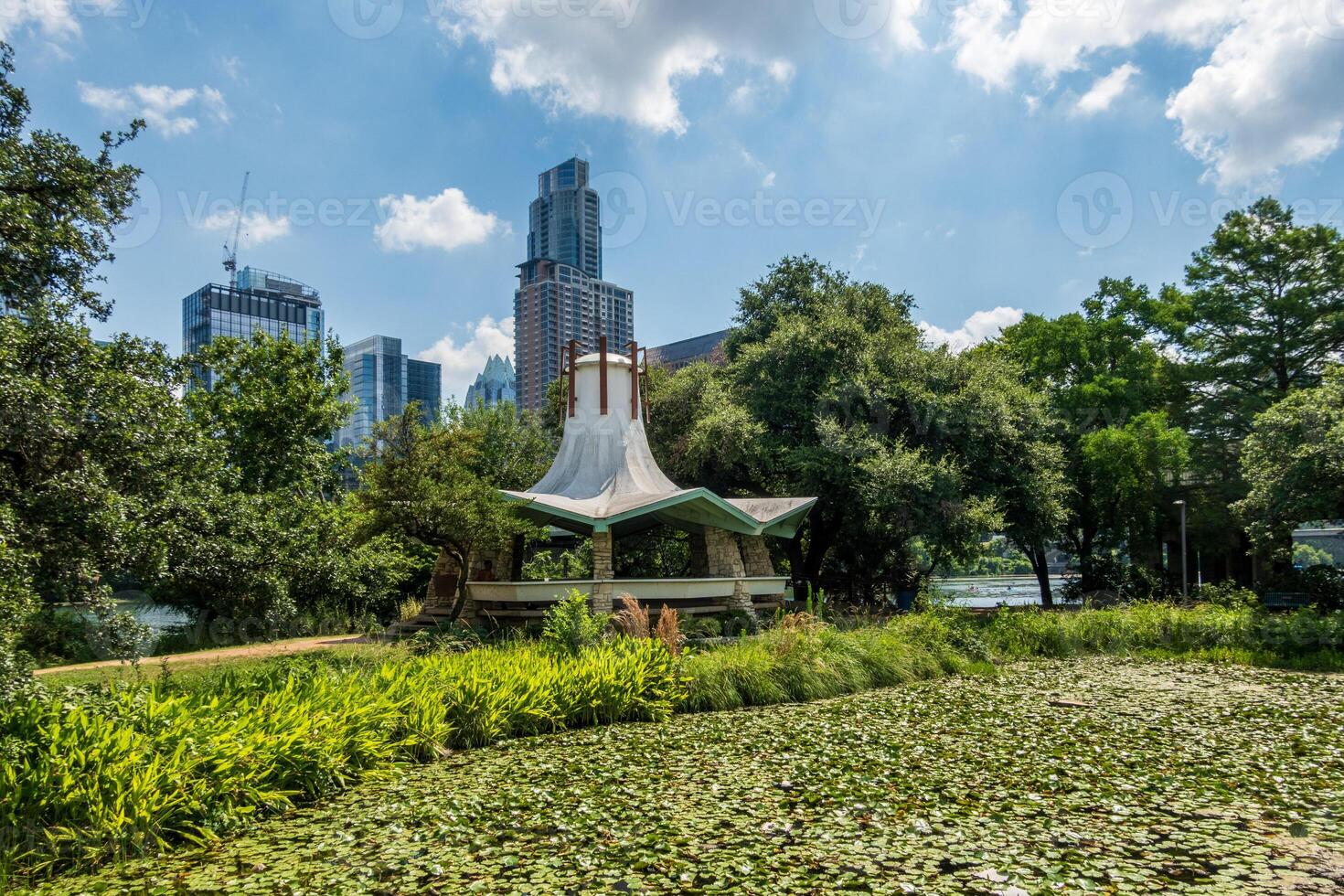 Water flowers in front of the Lake gazebo in honor of Fannie Davis in Austin Texas with cityscape behind photo