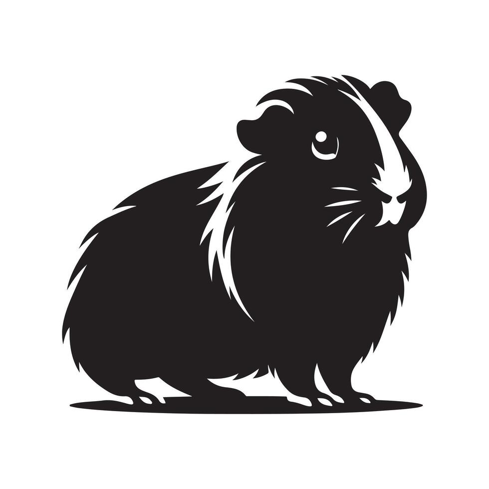 Guinea Pig silhouette illustration vector