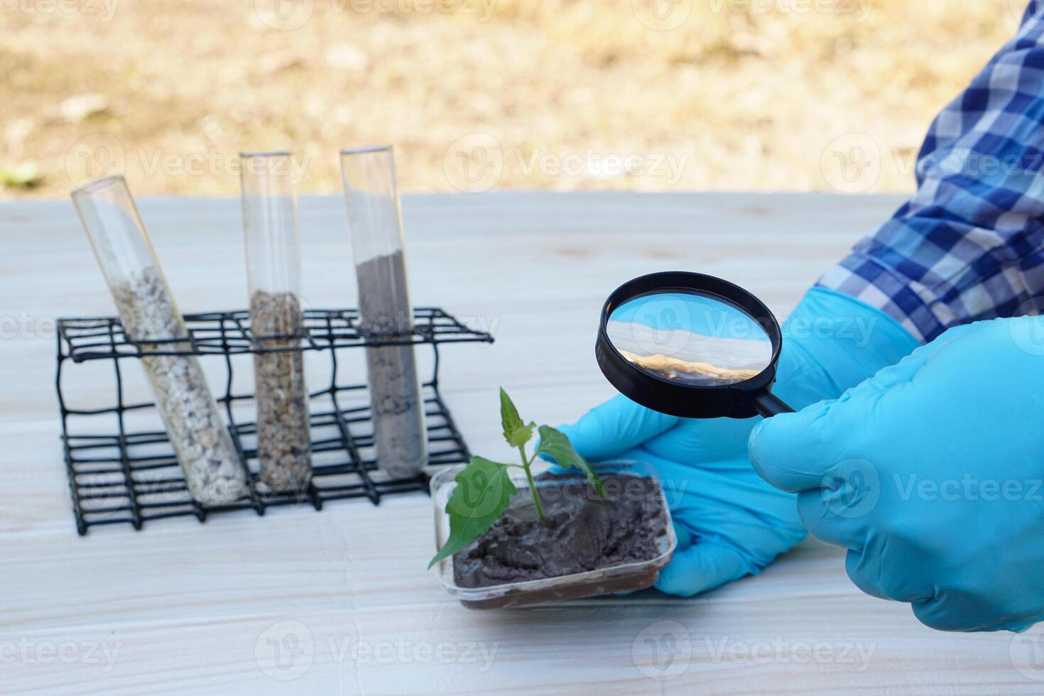 Test tubes that contain sample soil. Concept, soil quality inspection, research and science experiment. Laboratory. Find the best from different soil type and source for growing agriculture crops photo