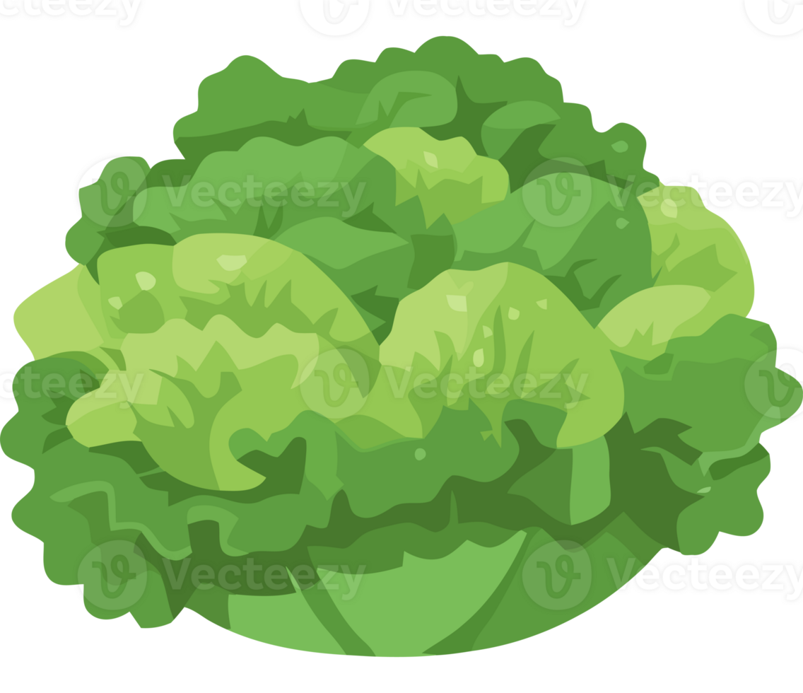 A green lettuce is shown in a bowl png