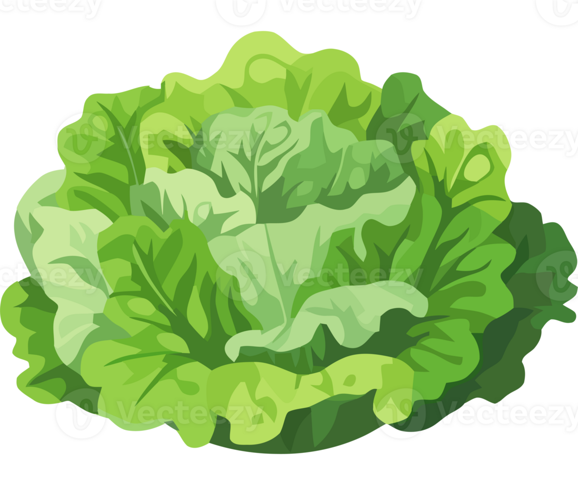A green lettuce on a black background png
